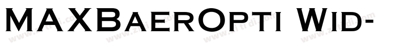 MAXBaerOpti Wid字体转换